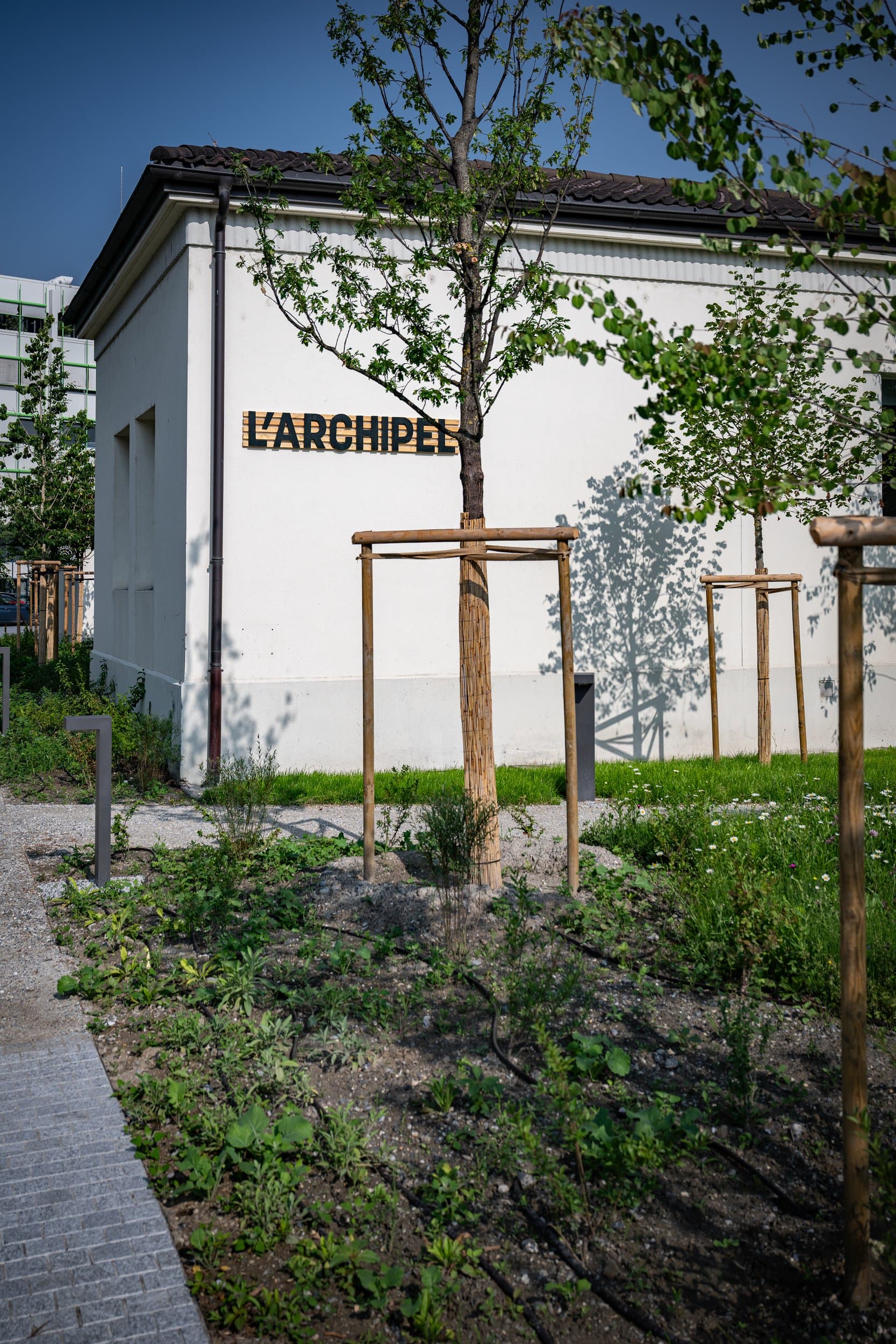 Façade blanche marquée L’Archipel derrière de jeunes arbres et une plate-bande plantée, photo d’architecture à Sion