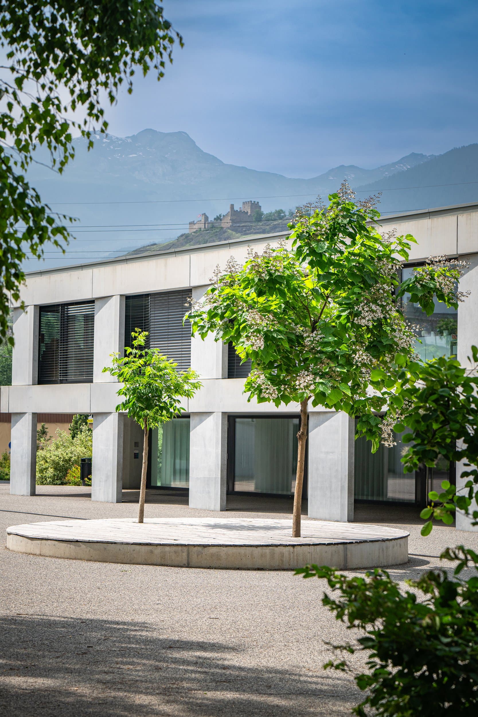 Façade de l’école de Champsec derrière un jeune arbre, la colline de Valère et les montagnes au fond, photo d’architecture