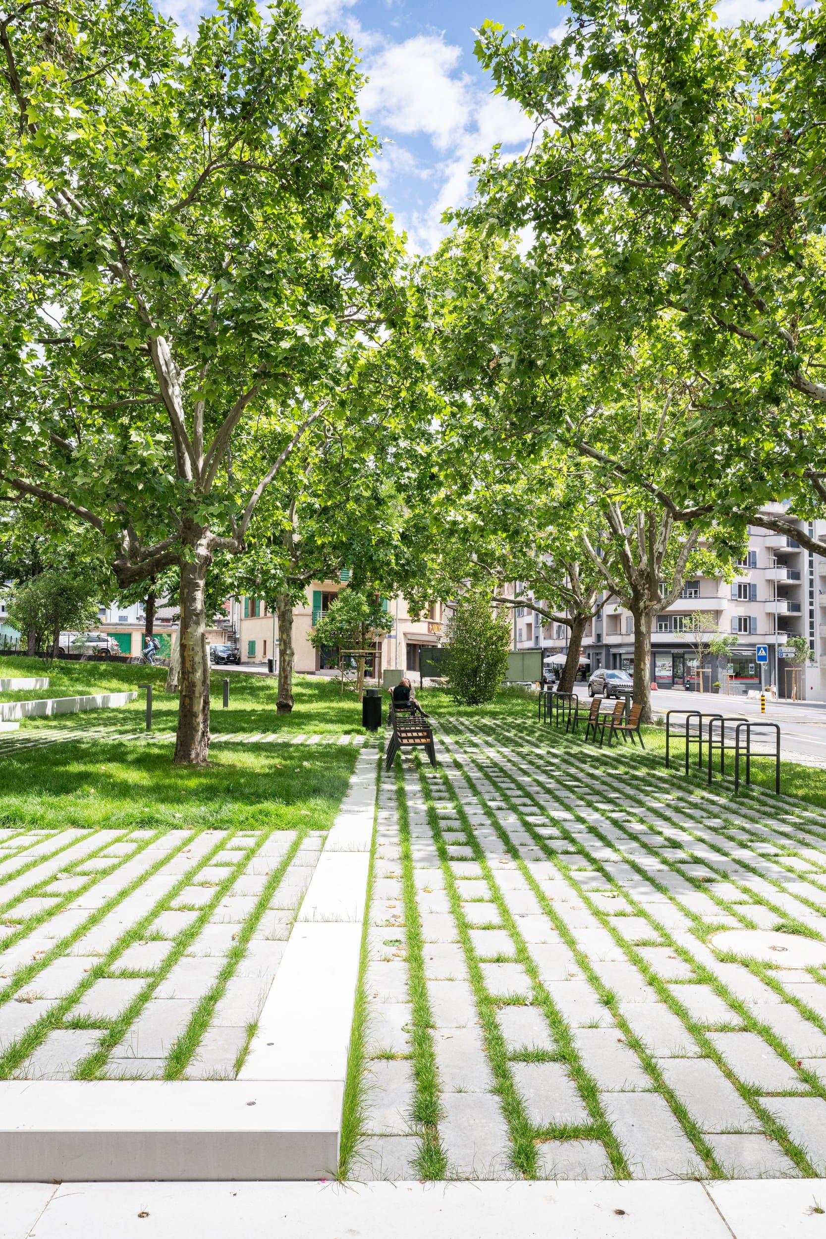 Allée de dalles engazonnées sous de grands platanes, au square des Mayennets à Sion, photo d’aménagement urbain