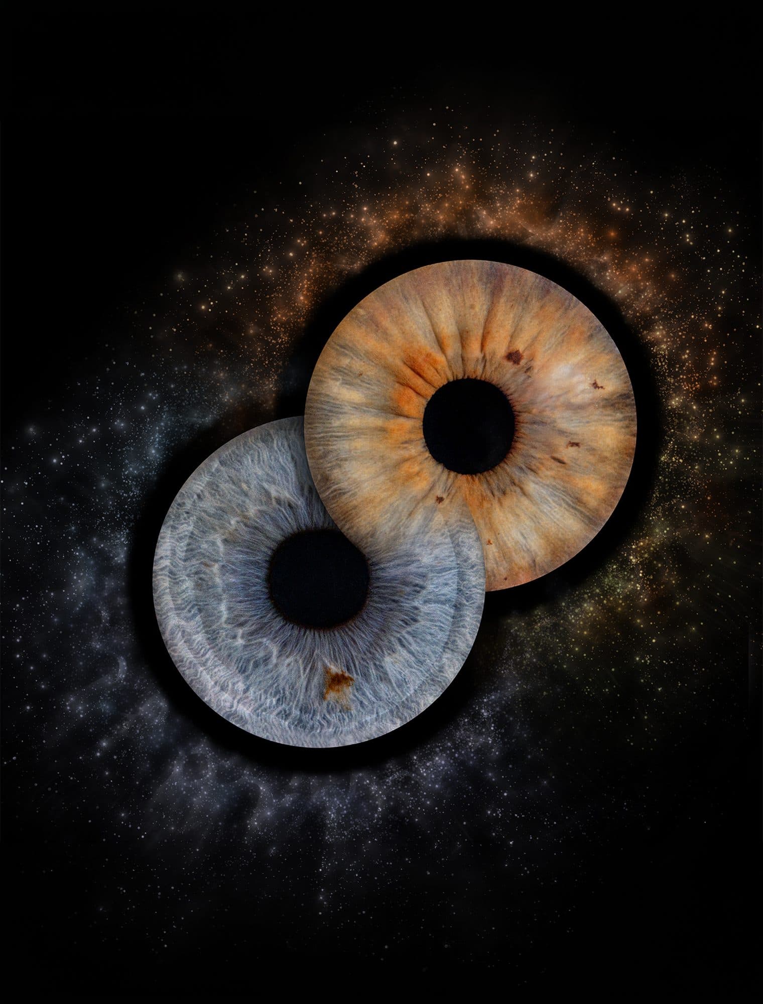 Un iris gris bleuté et un iris orangé qui se chevauchent, sur un décor de poussière d’étoiles