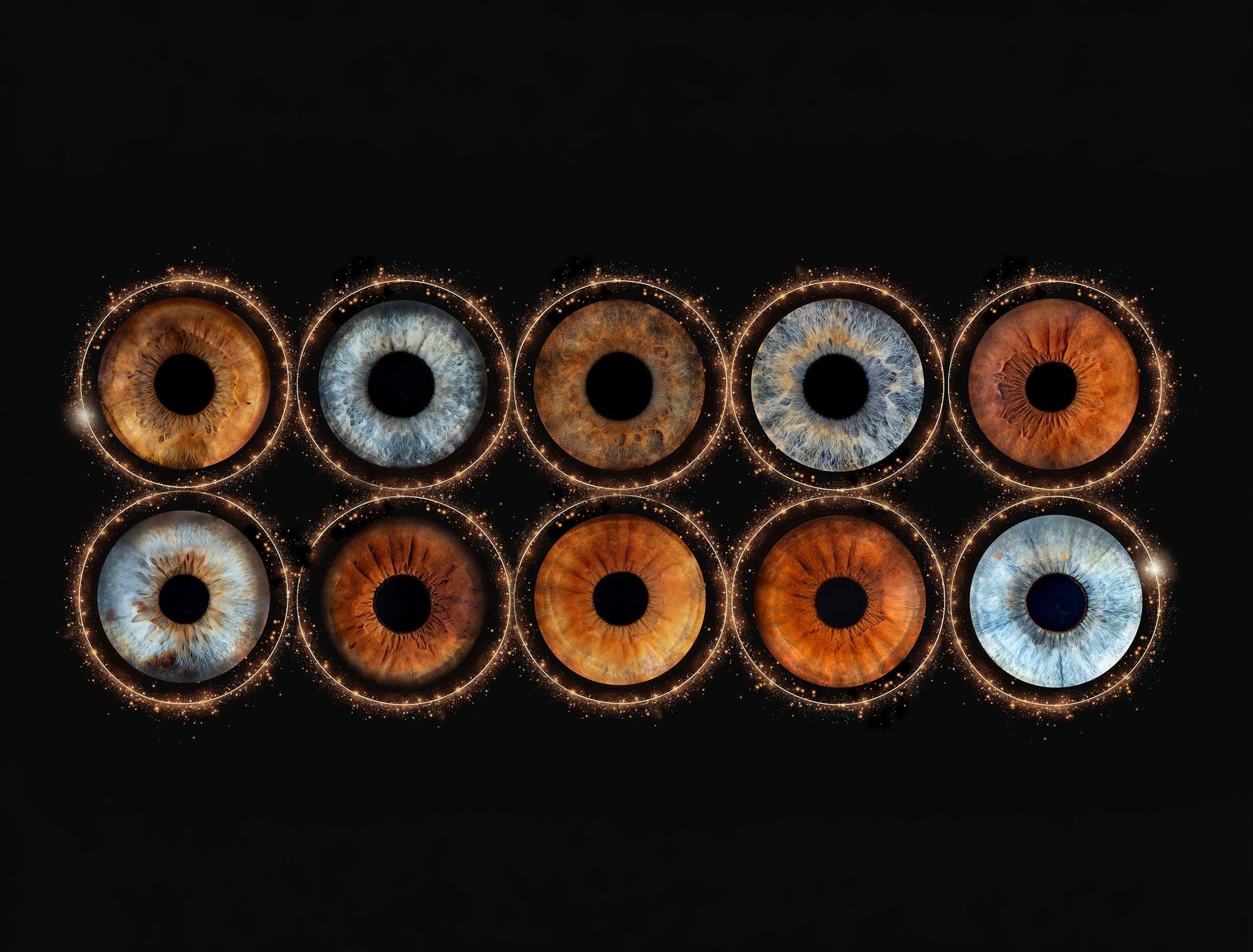 Dix iris d’une même famille, bruns et bleus, chacun dans un cercle de lumière dorée sur fond noir