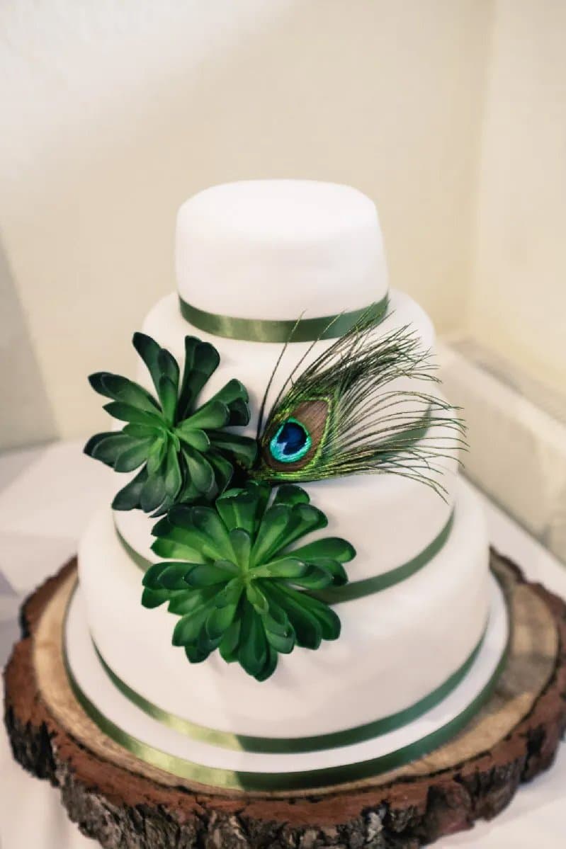Gâteau de mariage blanc à trois étages, décoré de plantes grasses et d’une plume de paon
