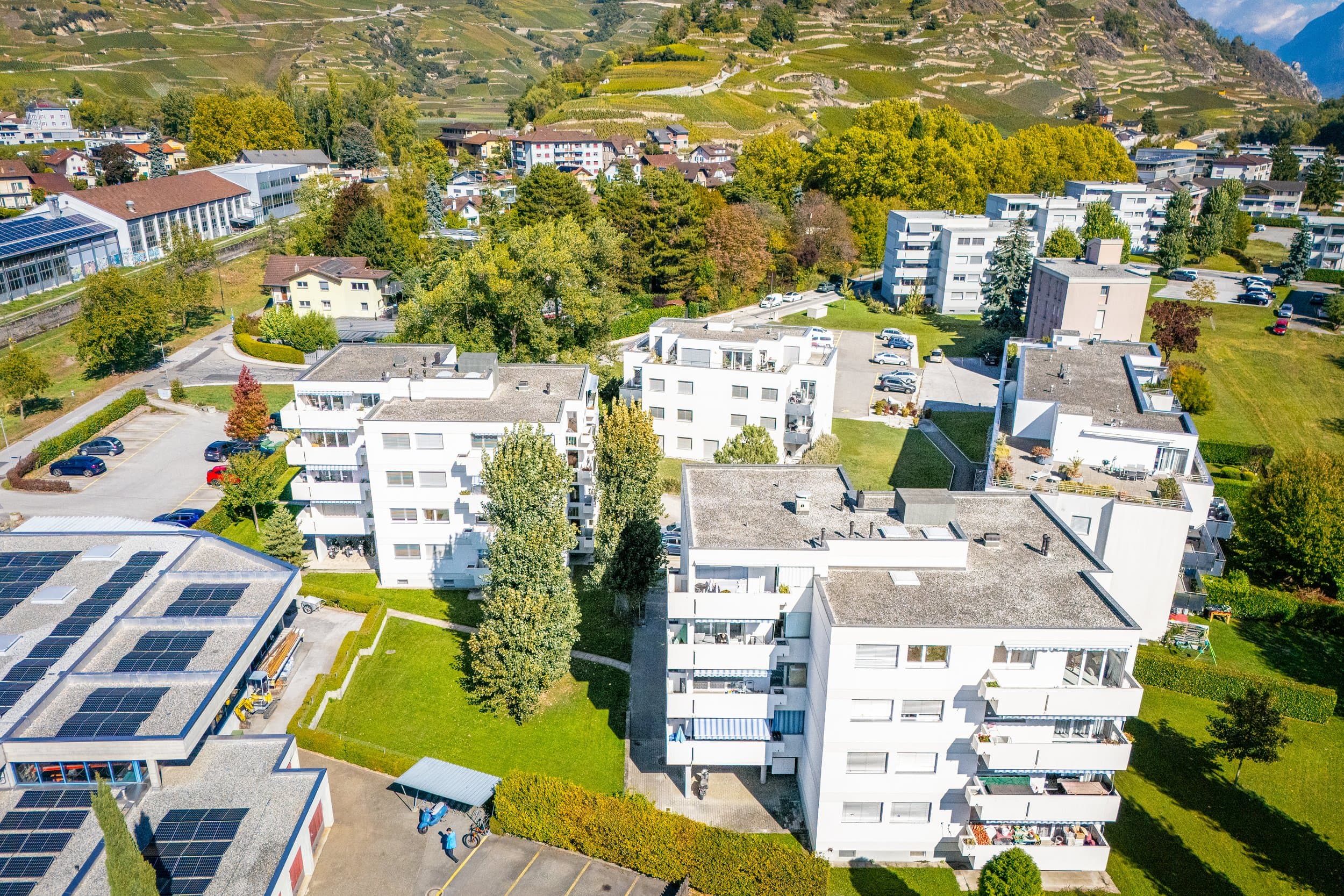 Vue au drone des immeubles blancs de la Digue de la Morge à Sion, entre pelouses et arbres, vignes en terrasses au fond