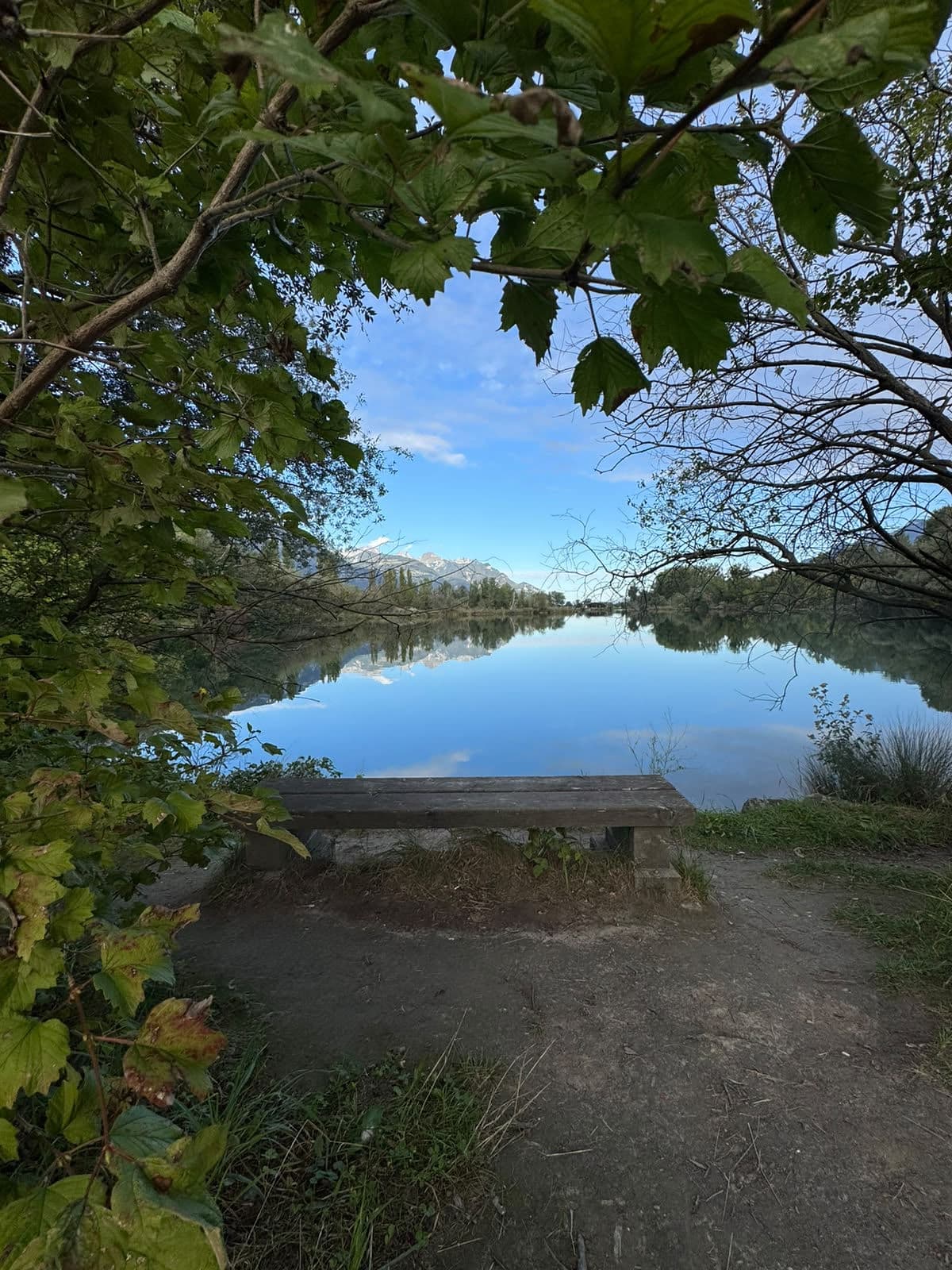 Un banc face à l’étang, sous les branches