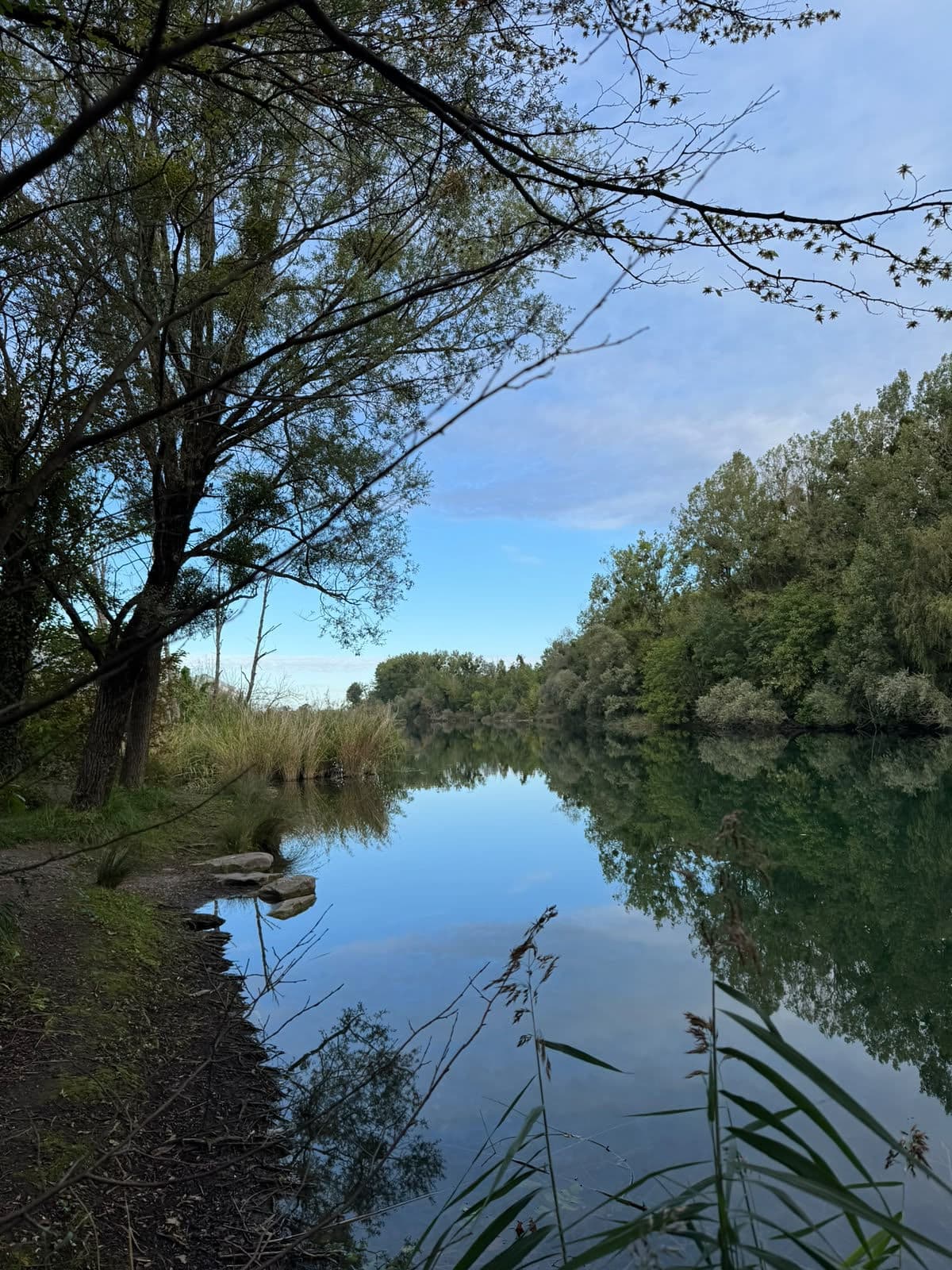 Les arbres qui se reflètent dans l’eau calme de l’étang