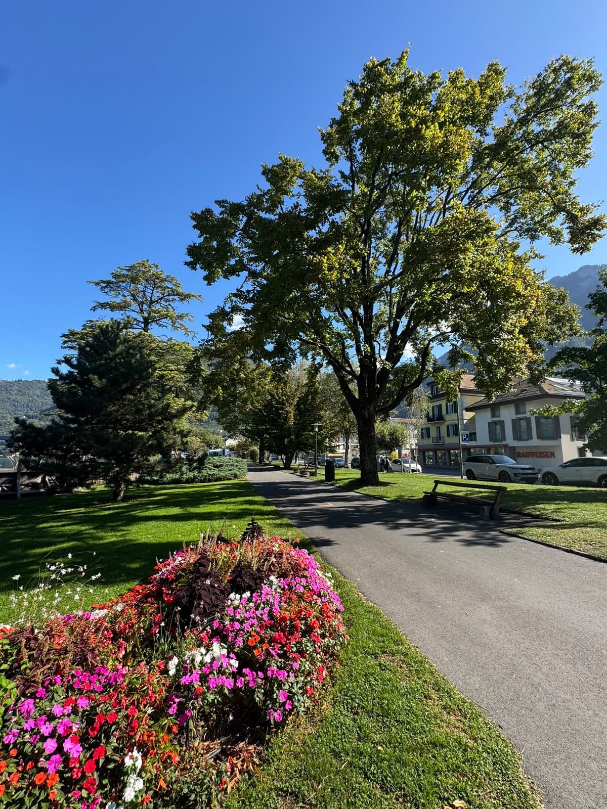 Une allée de parc bordée de massifs de fleurs, sous de grands arbres