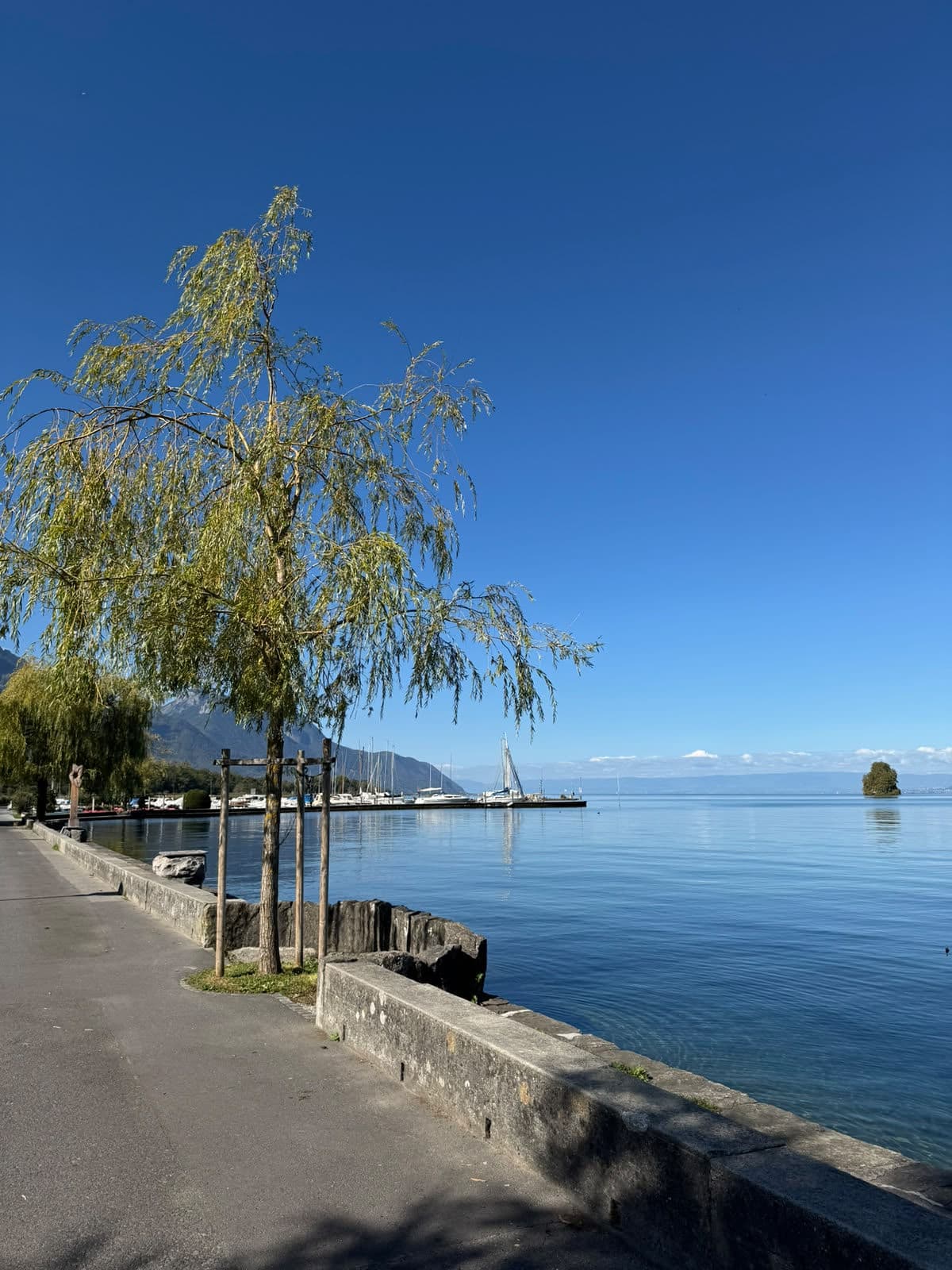 Un quai au bord du lac, un saule au premier plan