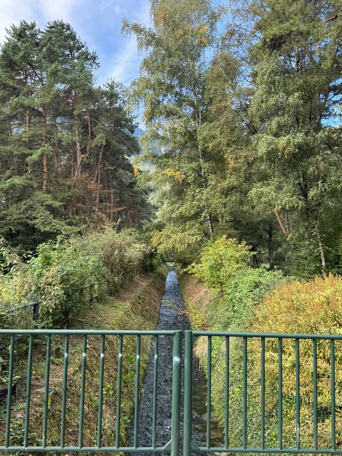 Un petit canal entre les arbres, vu depuis une barrière