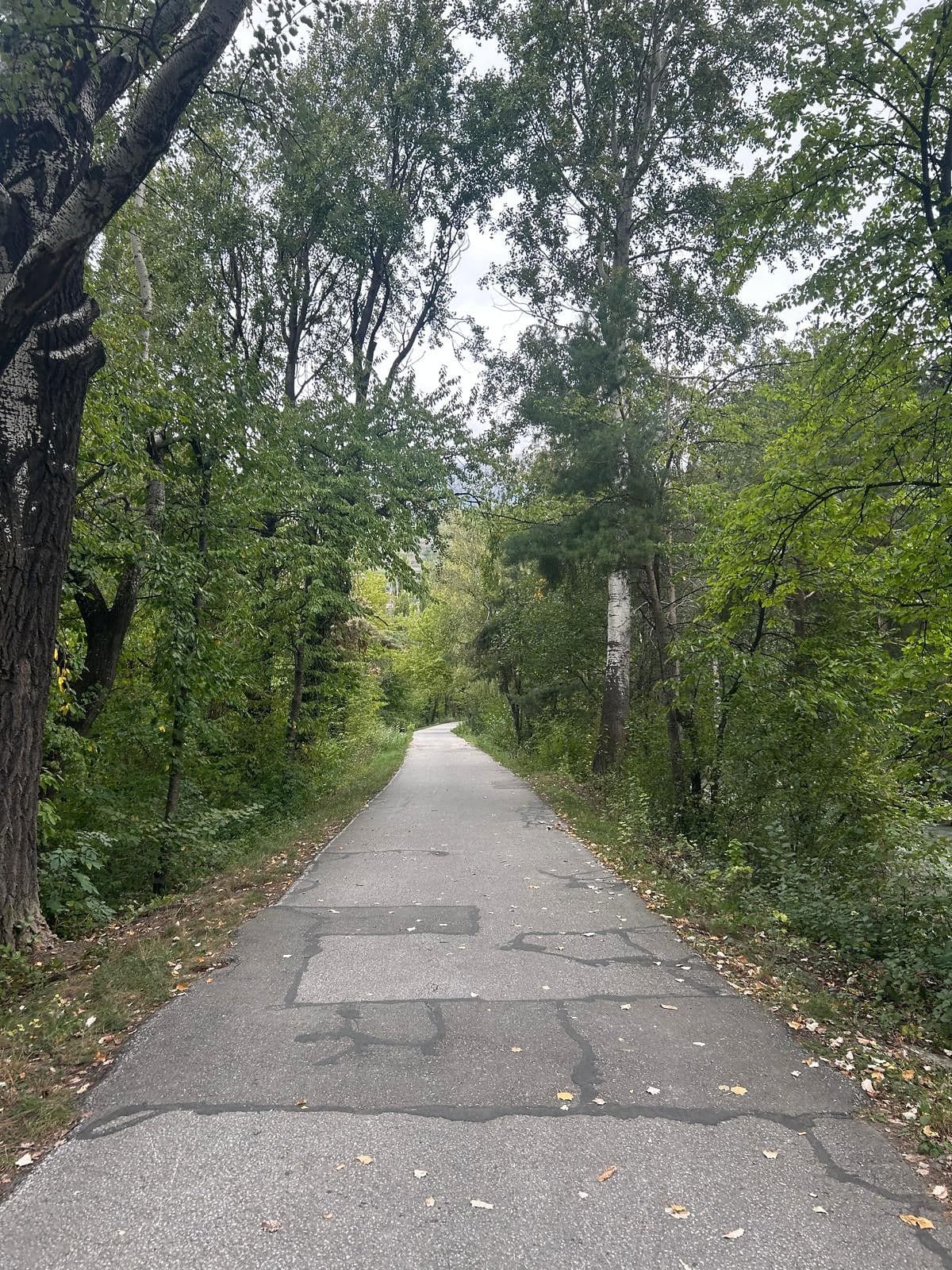 Un chemin sous les arbres, le long de la promenade