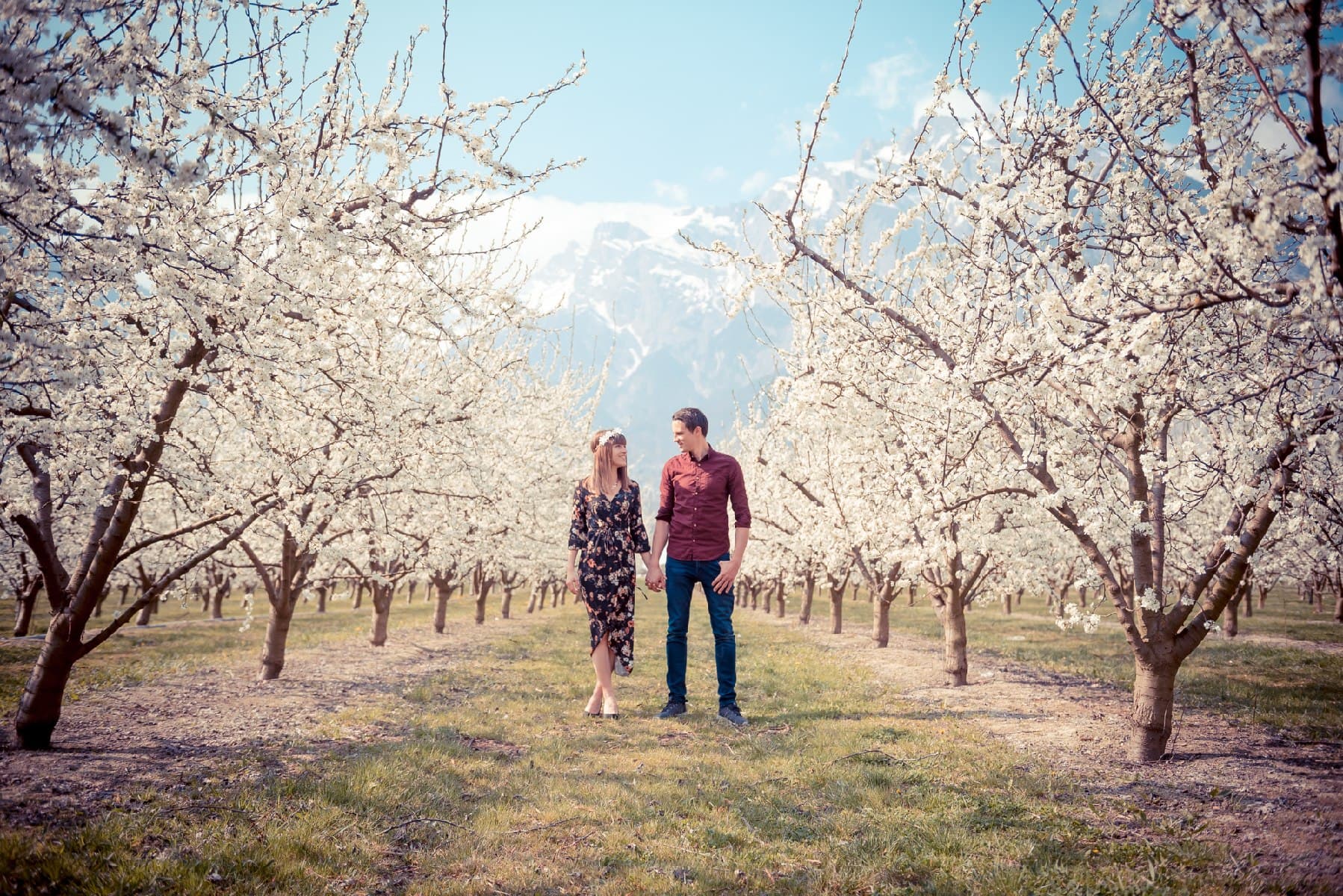 Un couple marche main dans la main dans un verger en fleurs