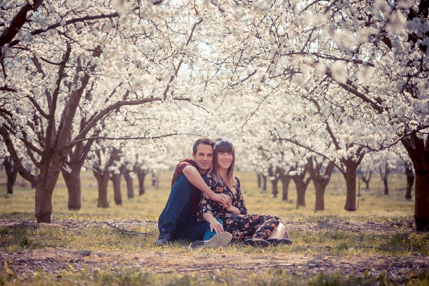 Un couple assis dans l’herbe d’un verger en fleurs