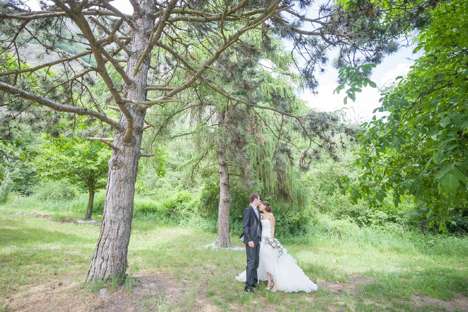 Baiser des mariés sous de grands arbres, dans un parc