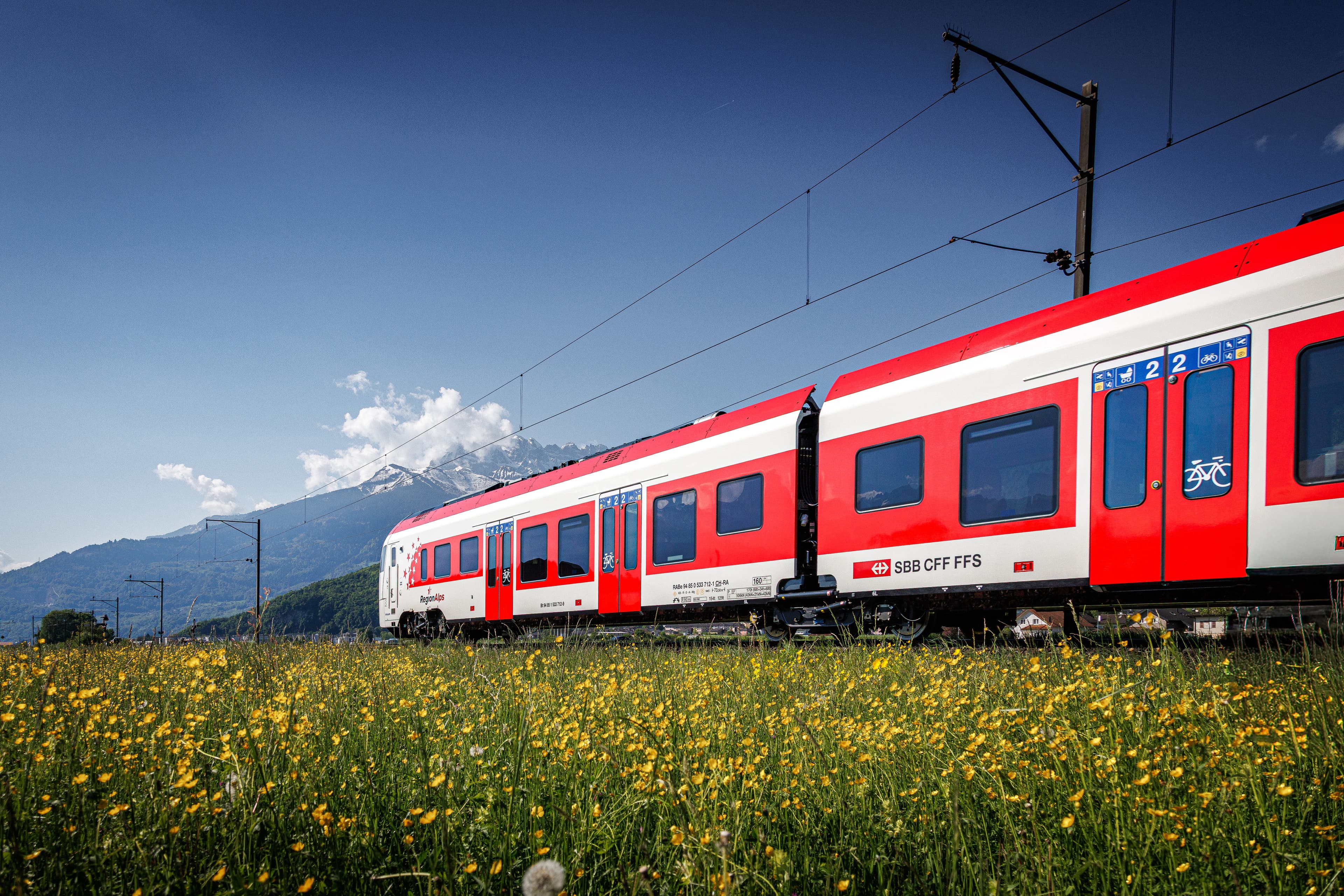 Train régional rouge et blanc longeant une prairie fleurie, montagnes enneigées au fond