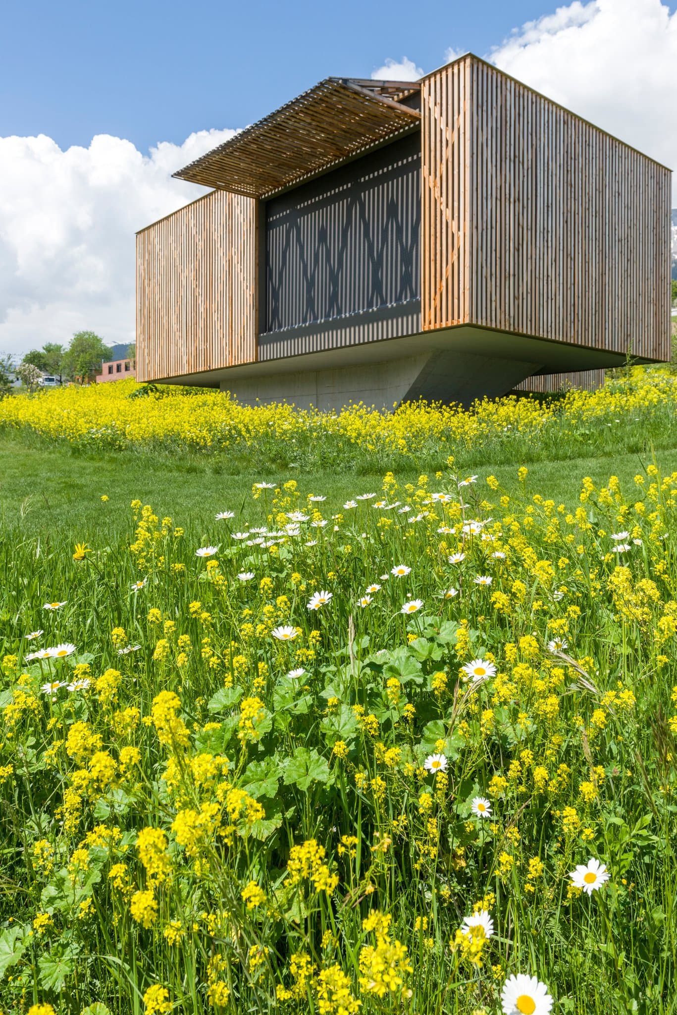 Pavillon en bois posé sur un socle, au-dessus d’une prairie fleurie