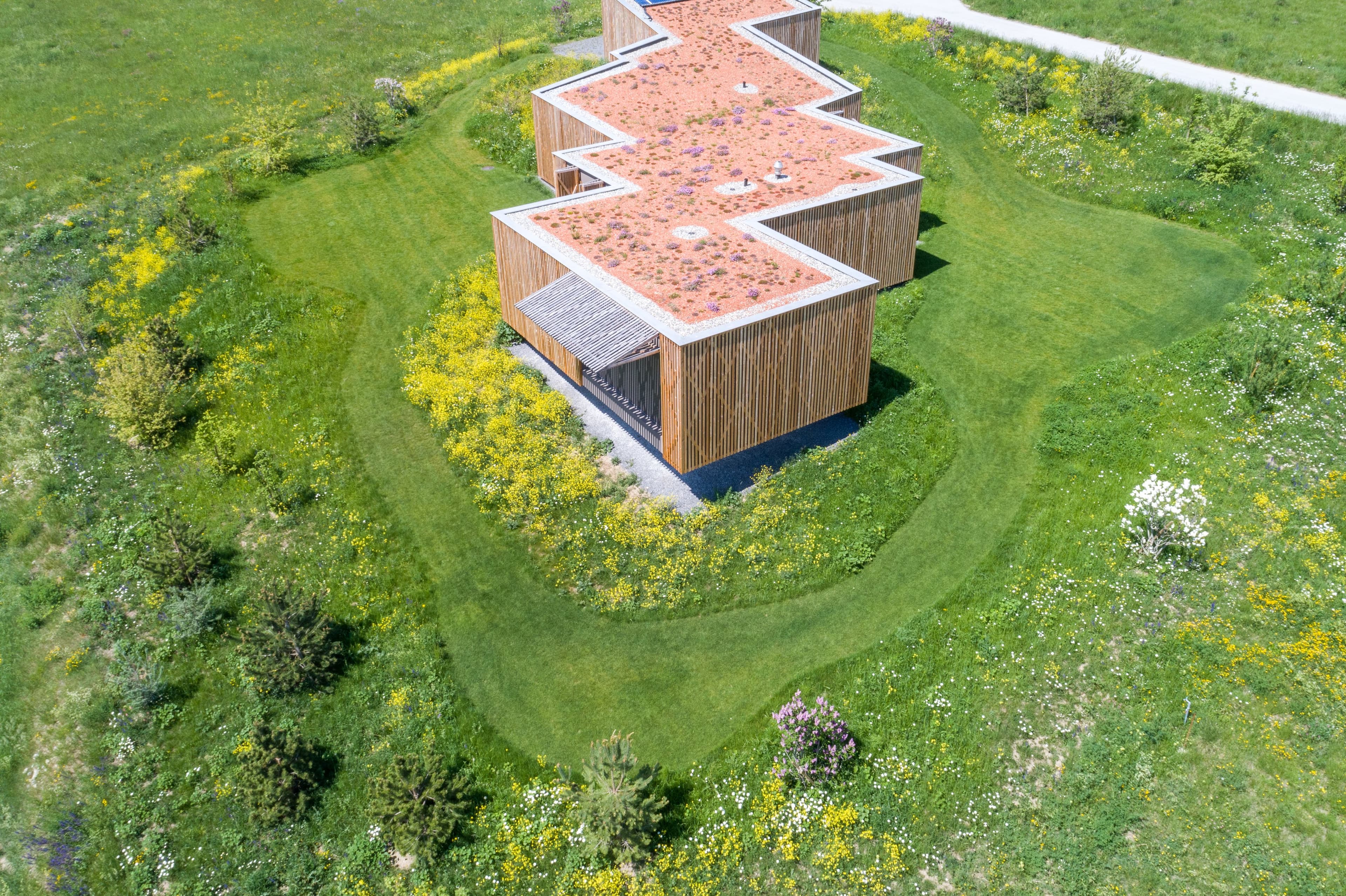 Vue aérienne d’une villa moderne en bois à toiture végétalisée, posée dans un jardin de prairie fleurie