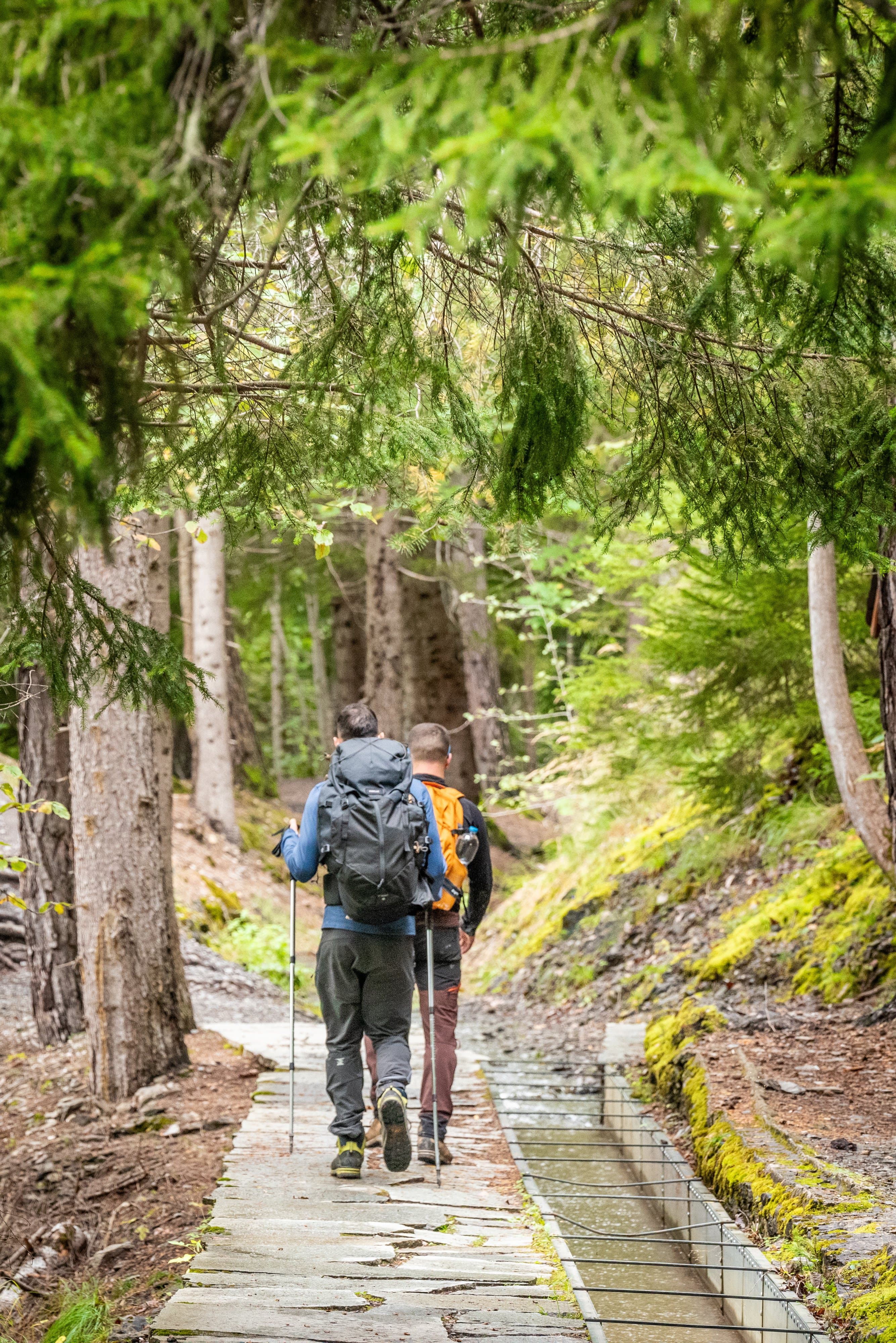 Deux randonneurs le long du bisse du Torrent-Neuf, dans la forêt