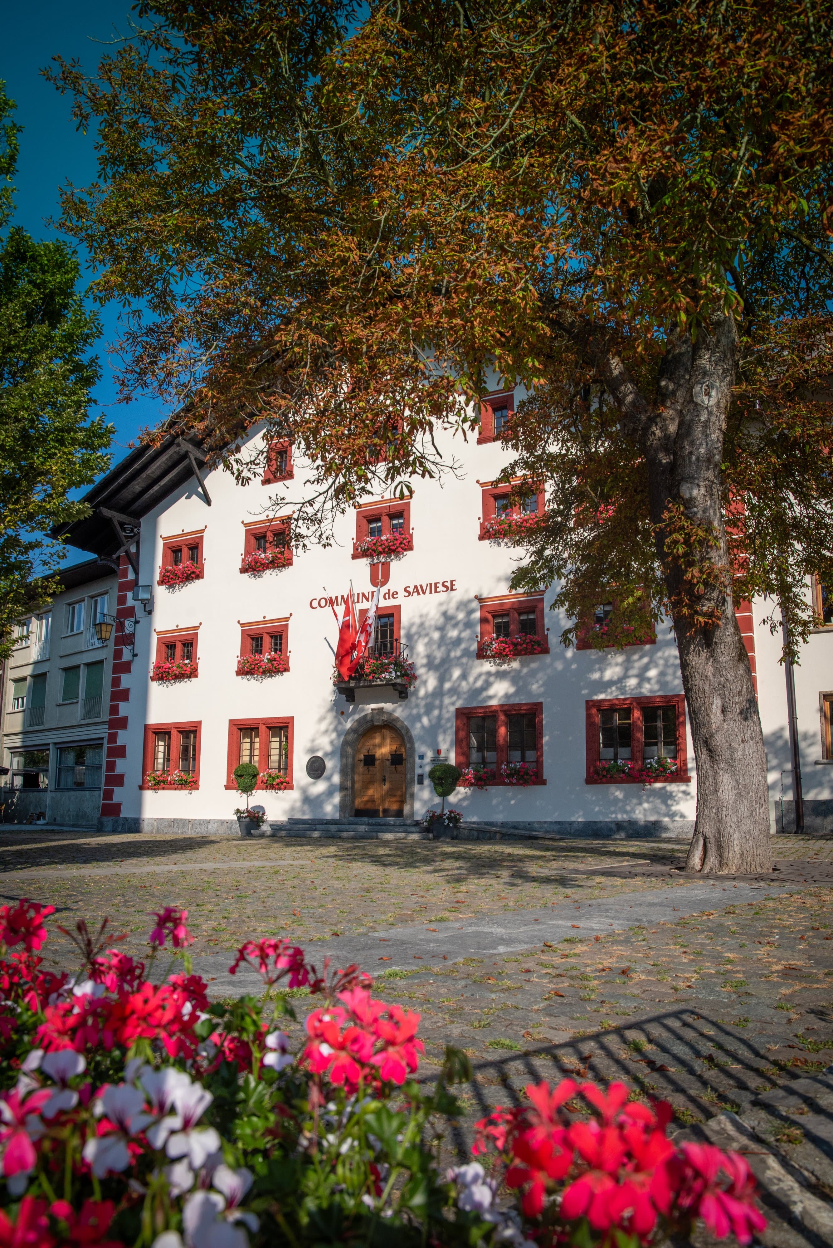 La maison de commune aux volets rouges, fleurs au premier plan et arbre en automne