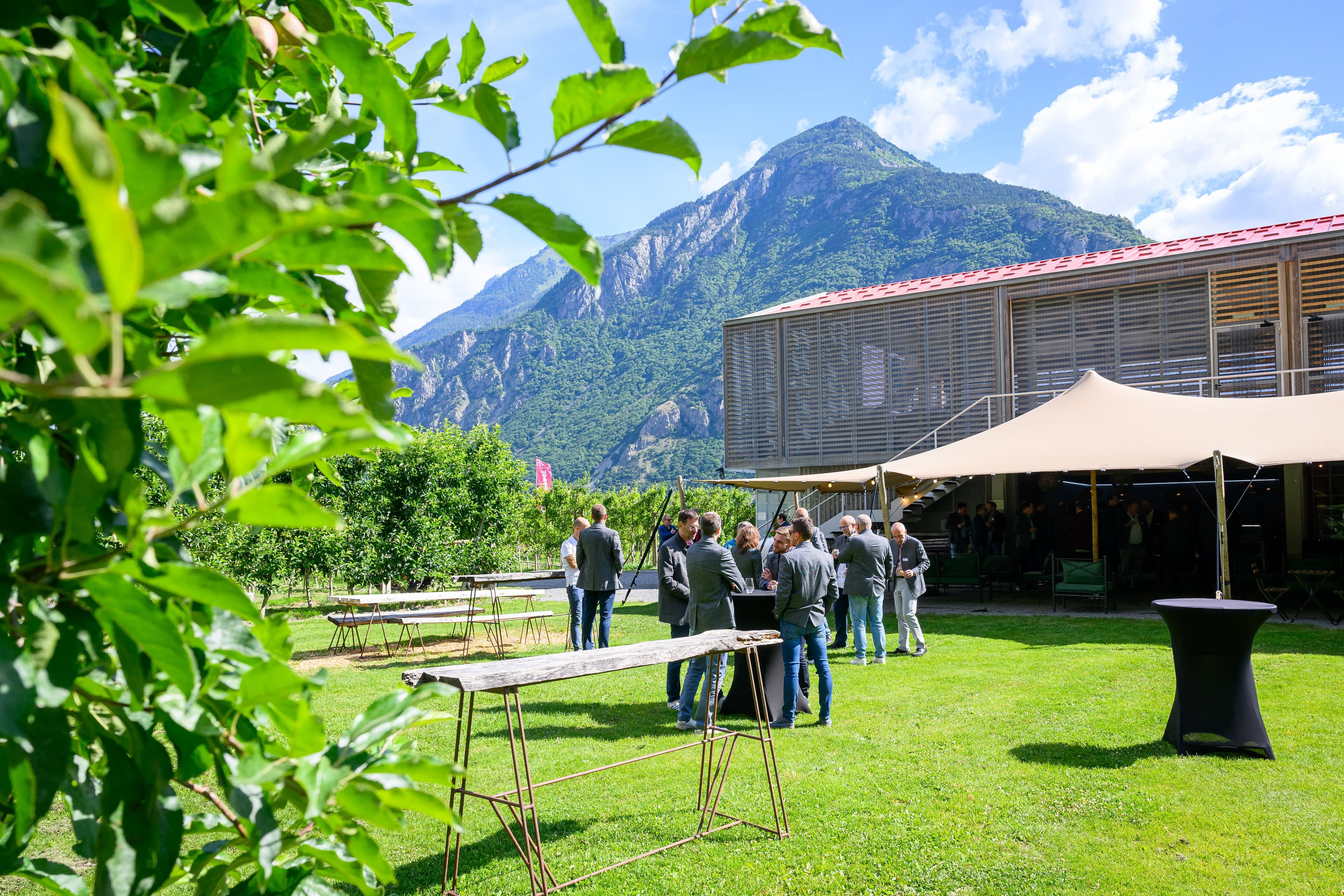 Invités devant la halle en bois et sa tente, au bord du verger, une montagne pointue dans le ciel bleu